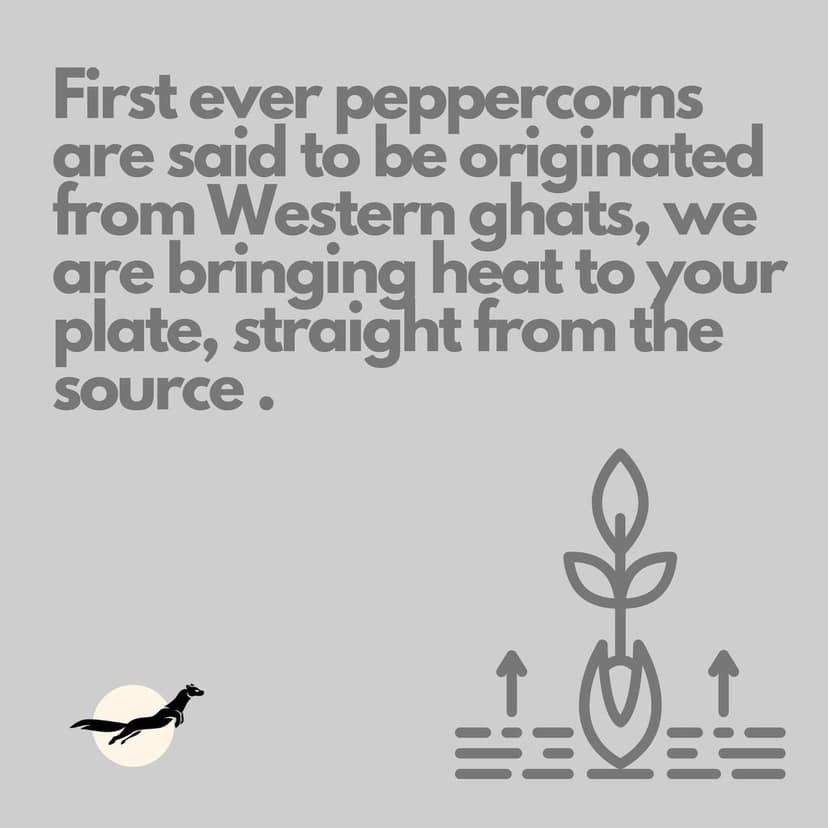 Nilgiri Marten Tellicherry Pepper Bold (Kali Mirch), 40g (Pack of 2) view 5
