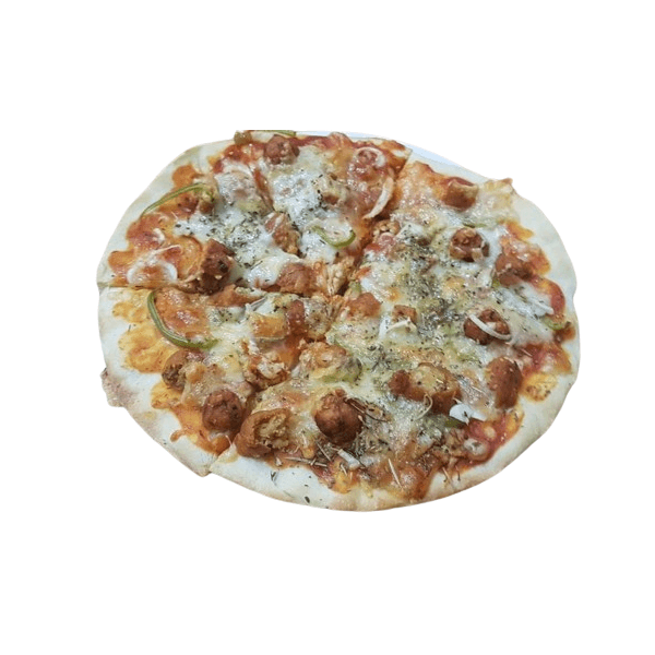 Non Veg Seekh Special Pizza Regular