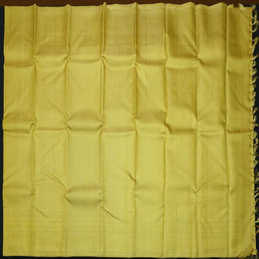 Sandal Gold Color Kanchipuram Silk Saree Self Jacquard view 5