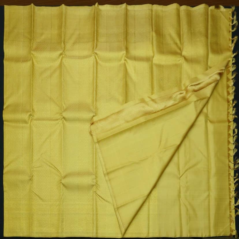 Sandal Gold Color Kanchipuram Silk Saree Self Jacquard view 6