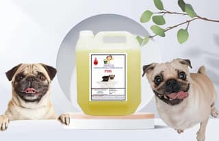 SWACCH Shampoo Specially FORMULATED for Pug (10 Litre) Lemon