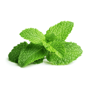 Peppermint (Mint) Leaves 1 Pc