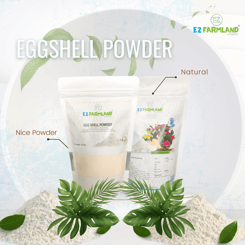 Ez Farmland Eggshell Powder 750 g Pack / Fertilizer /Calcium Supplement /Potting Mix view 2