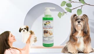 SWACCH Premium Shampoo for Lhasa APSO (200ML) NEEM ALOVERA