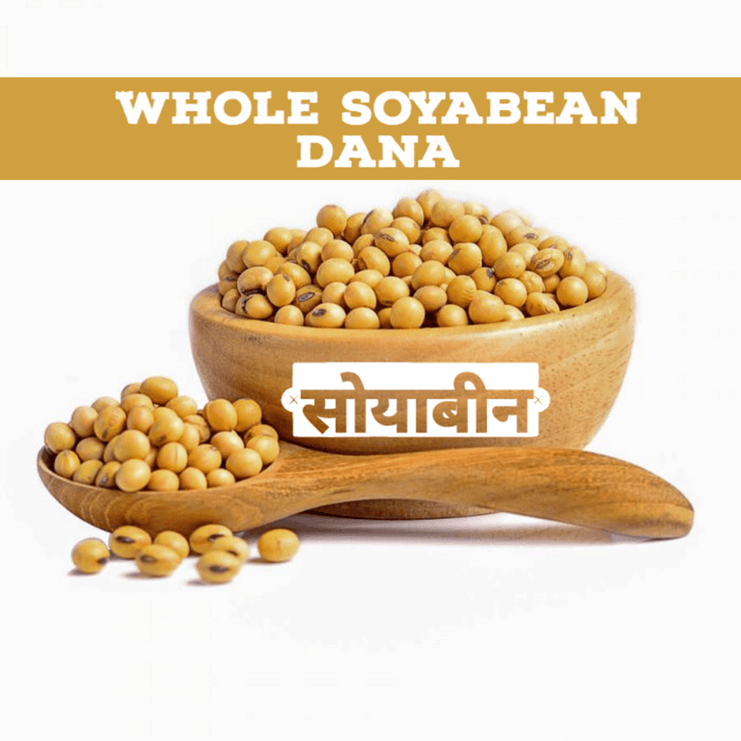 SS520 Row Soyabean Dana 900g. Whole Soya Seeds Soyabin (High Protein & Fiber) view 2