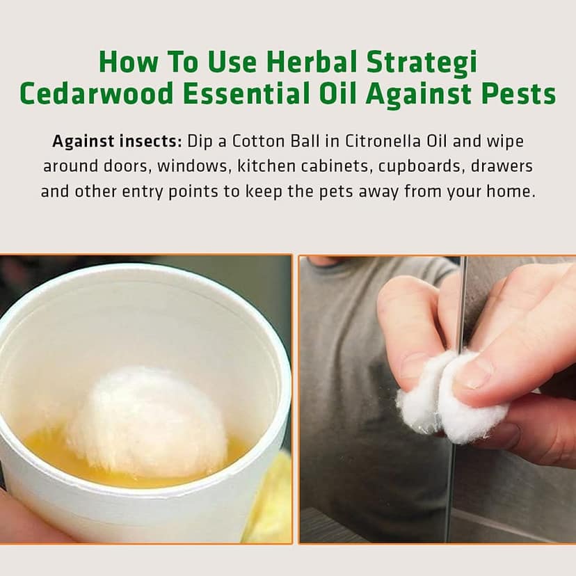 Herbal Strategi Cedarwood Essential Oil 15 ML view 3