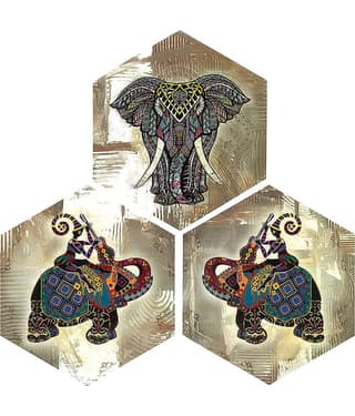 Indianara Hexagon Paintings MDF Painting Without Frame