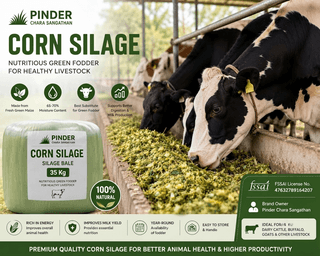Pinder Chara Sangathan Corn Silage Bale for Cattle Feed - 35 kg