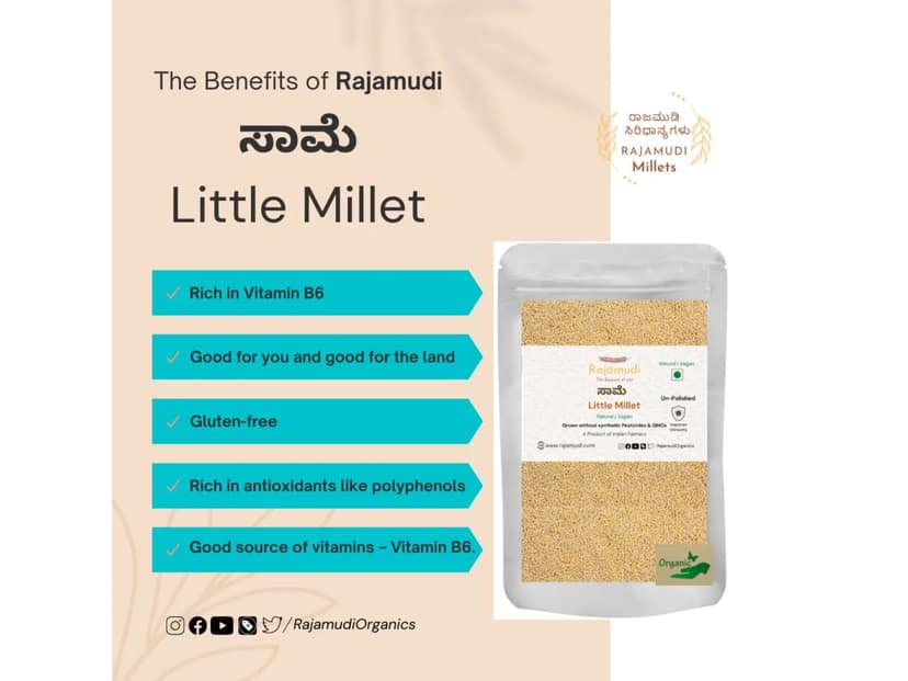 Rajamudi Organics Saame - Little Millet - 500 Gram view 2