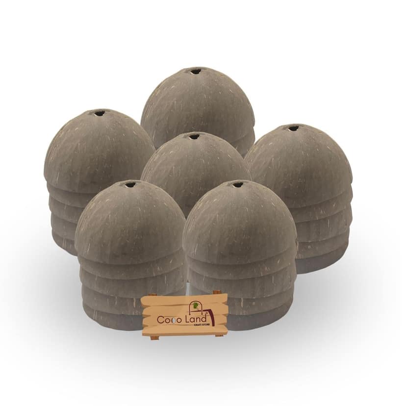 Coco Land Holed Coconut Shell Finished Raw Craft | Decorative Pots,Craft Making | Handicraft,Agricraft