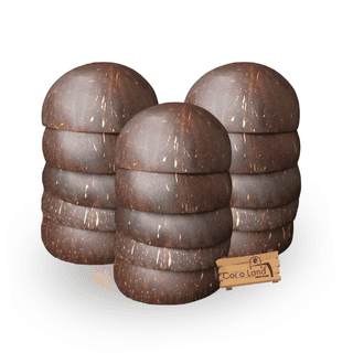 Coco Land Coconut Shell Matte Polished Bowl S-M-L 100-150-250 ml Decorative Bowl/ Candle Making Bowl /Showpieces /Handicraft/Candle Holder /Salad Bowl/Smoothie Bowl