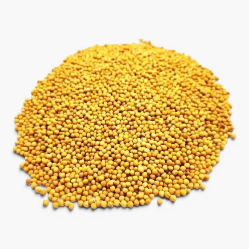 Indian Spice Premium Yellow Mustard (Peela Sarson) / Traditional Flavors, Authentic Blends (350gm) view 3