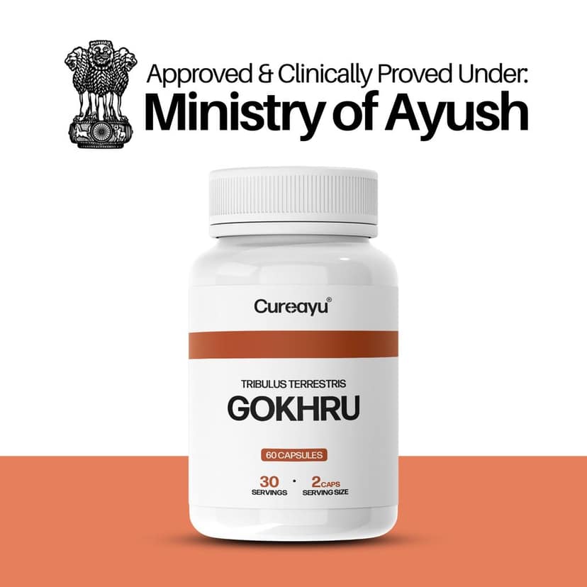 Cureayu Gokhru Capsules | Ayurvedic Support for Kidney Health | Boosts Urinary Flow & Vitality view 3