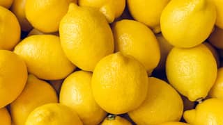 Lemon | Pack of 3 Pcs