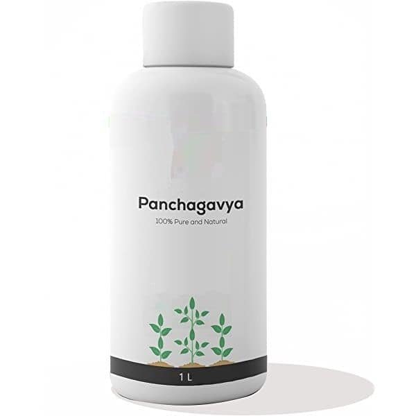 Panchakavyam, 1 L