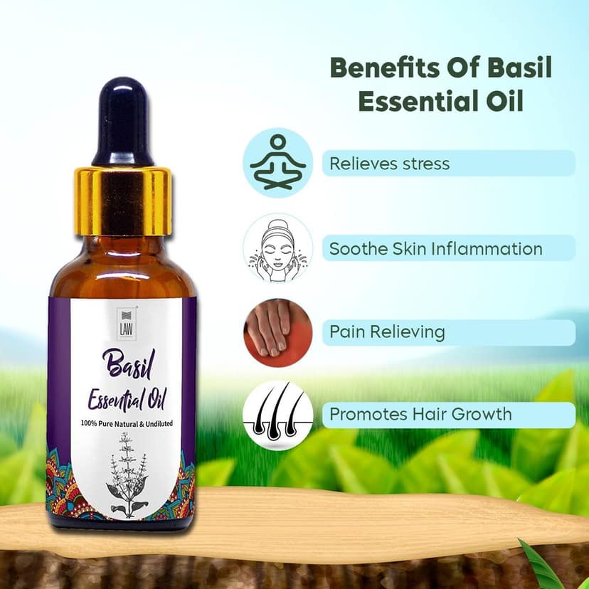 Basil Essential Oil view 6