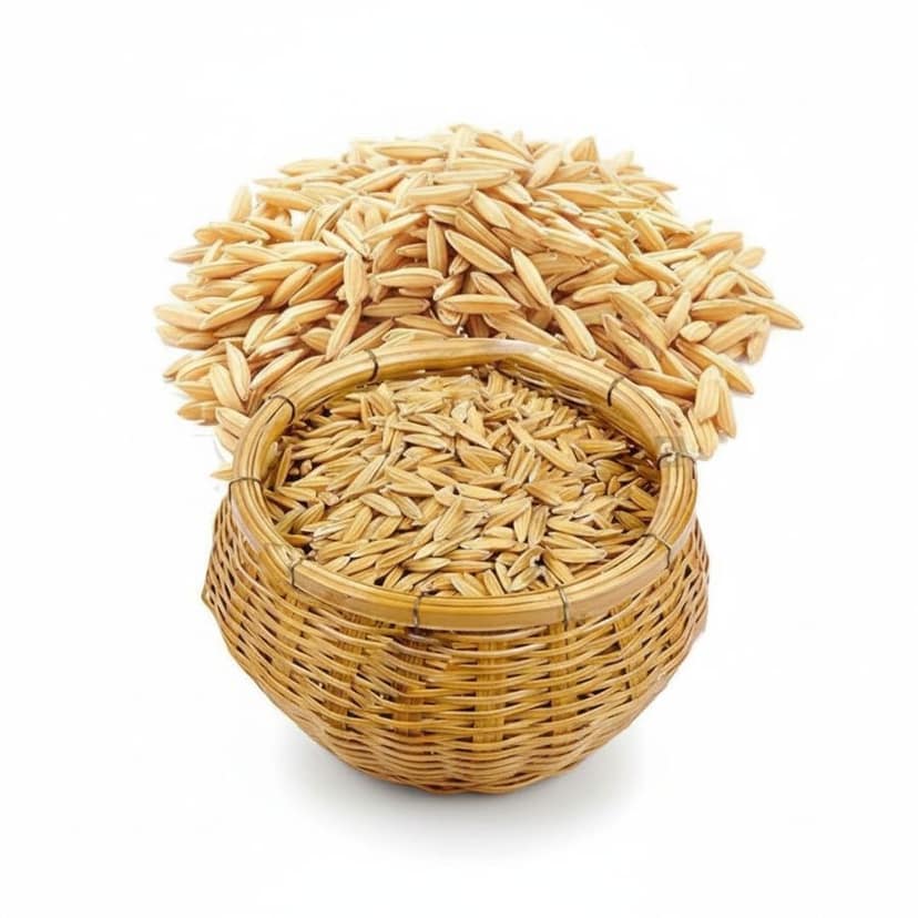 Premium Paddy Rice - 50 kg - One 50kg bag of paddy rice