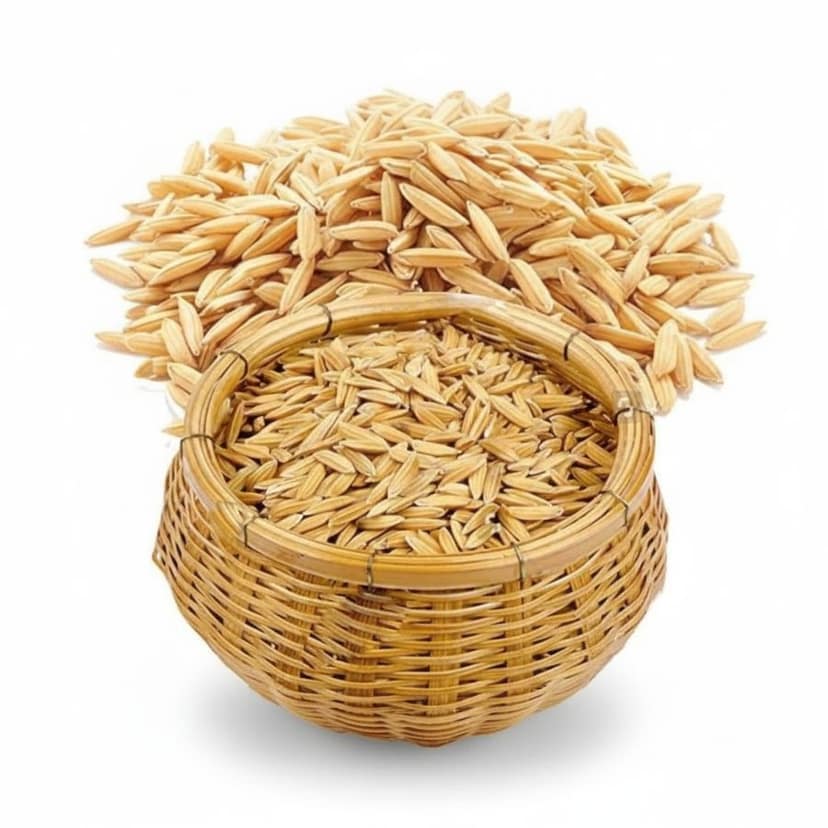 Premium Paddy Rice - 50 kg - One 50kg bag of paddy rice view 3