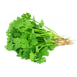 Coriander Leaves 1 Pc