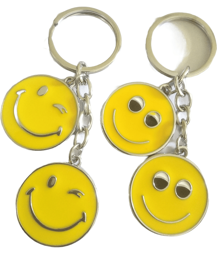 Cailyn - Multi Color Key Chain ( Pack of 2 )