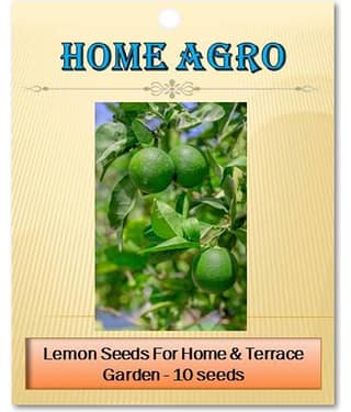 homeagro - Vegetable Seeds ( 10 seed )