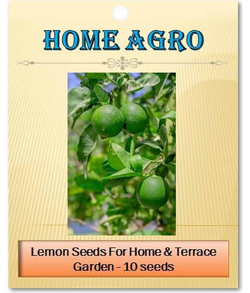 homeagro - Vegetable Seeds ( 10 seed )