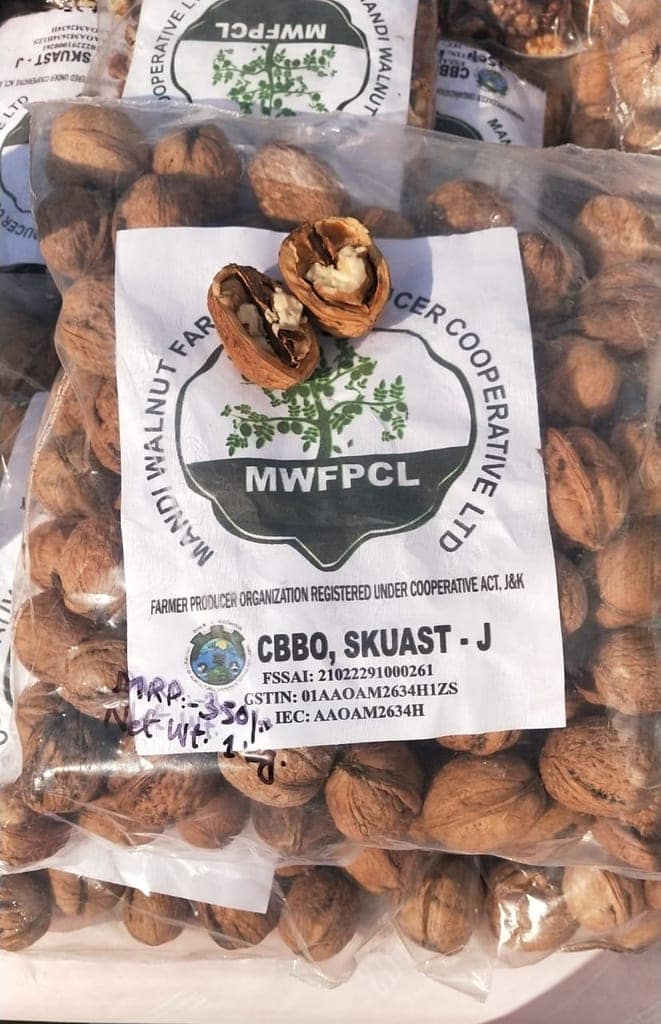 Walnut