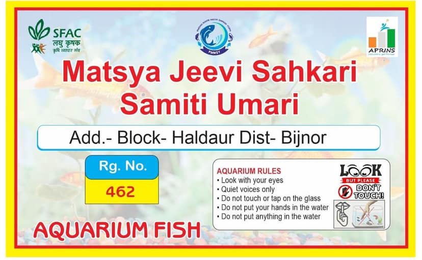 Aquarium Fish Jar view 2