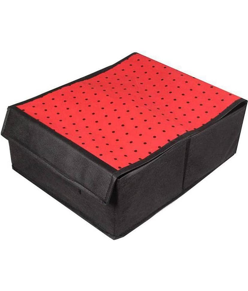 PrettyKrafts Lingerie Organizer | Bra Organiser | Undergarments Storage Box