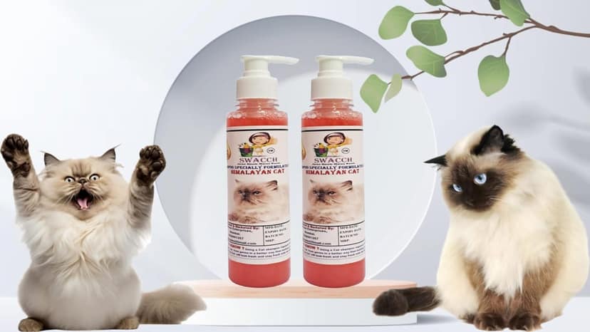 SWACCH Premium Shampoo for Himalayan CAT (200ML) (Pack of 2) Jasmine