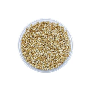 Agrify Fresh Sprout - Matki 250 Gms