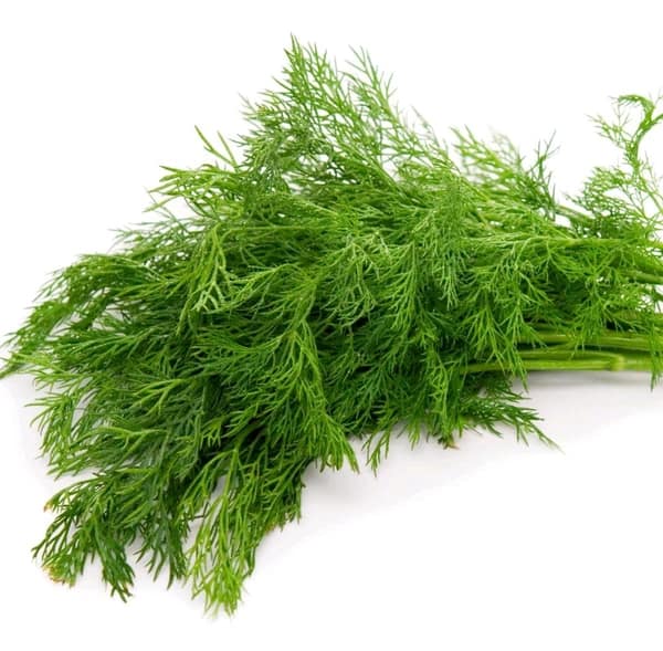 Shepu / Dili Leaves - 1 Bunch