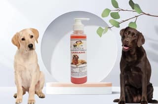 SWACCH Premium Shampoo for Labrador (200ML) Jasmine