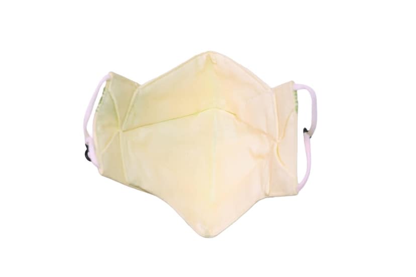 Kasuti Work Mask