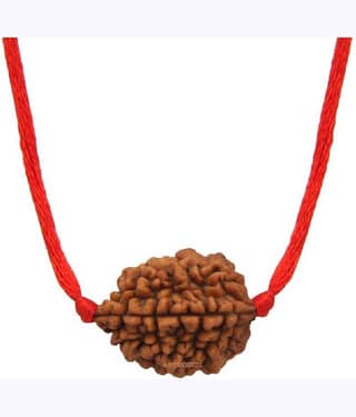 Astrodidi 2 Mukhi Rudraksha With Lab Certificate