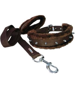Petshop7 Nylon Fur Padded Spike Dog Collar and Dog Leash - Medium (Adjustable Neck Size : 14-17inch)