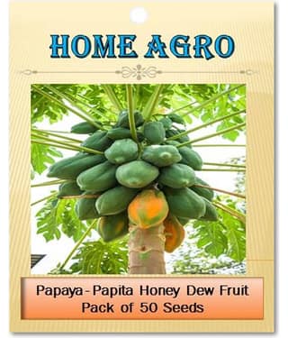 homeagro - Fruit Seeds ( 50 - seed )