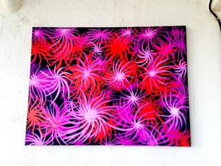 Fireworks' Gallery Wrap Canvas Print