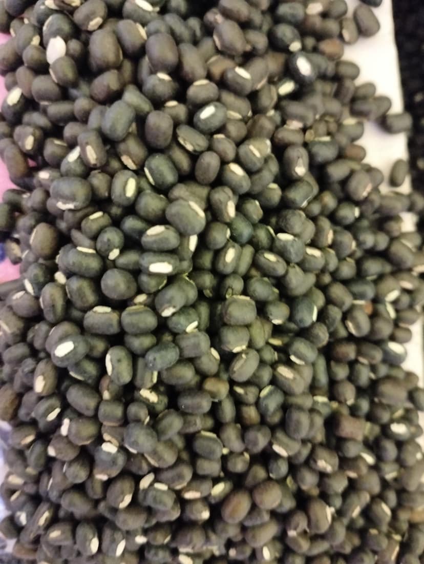 Urad sabut loos