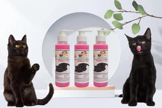 SWACCH Premium Shampoo for Bombay CAT (200ML) (Pack of 3) Rose