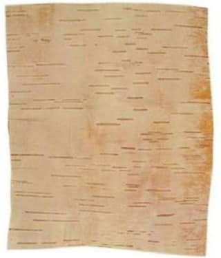 Original-Bhojpatra-Sheet-Bhoj-Patra-Sheet-6-x-4-Inches-10-Sheets