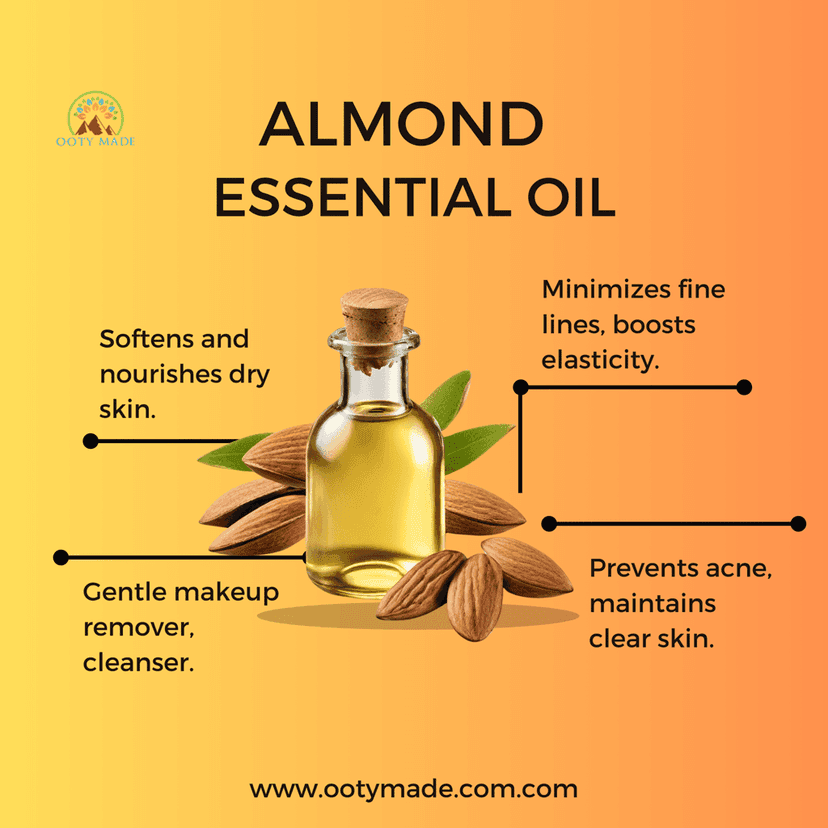 Discover the Benefits of Pure Almond Oil for Skin & Hair | Uses, Prices, and More view 6