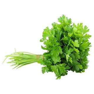 Coriander Leaves Half Bunch