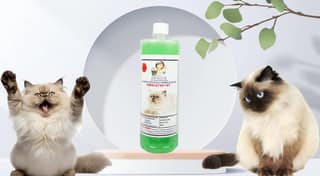 SWACCH Shampoo Specially FORMULATED for Himalayan CAT (1 Litre) NEEM ALOEVERA