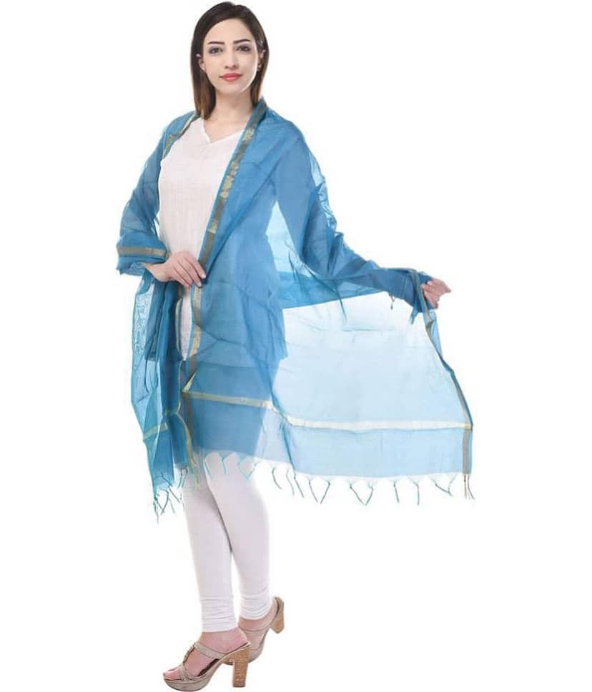 Apratim Blue Chanderi Dupatta view 2