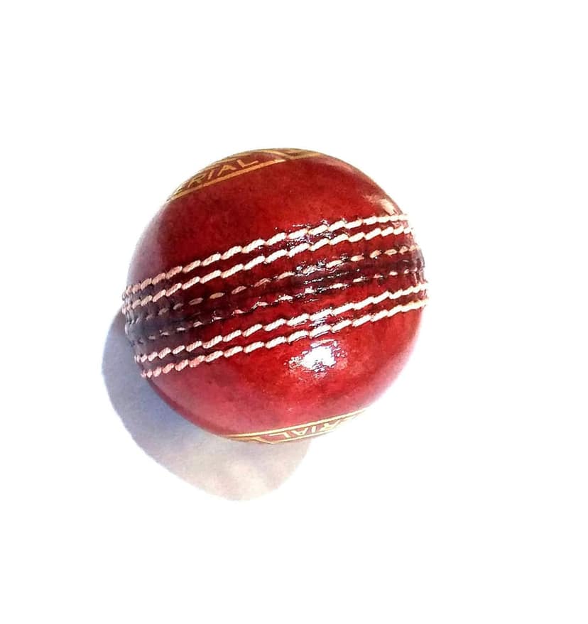 Nawani 2 Piece Red Leather Ball for Match (Pack of 1) view 4
