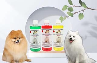 Swacch Shampoo Specially Formulated for Spitz (500ml) (Combo Pack of 3) Neem Alovera, Jasmine & Lemon