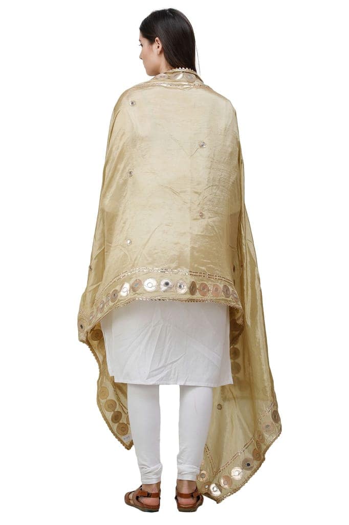 Silver-Fern Dupatta from Amritsar Embellished with Patch Border view 4