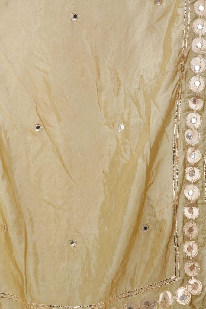Silver-Fern Dupatta from Amritsar Embellished with Patch Border view 5