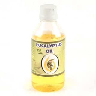 Eucalyptus Oil (100 Ml)